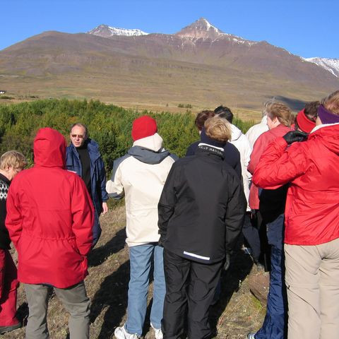 betadeild-5-442d16384e925-1