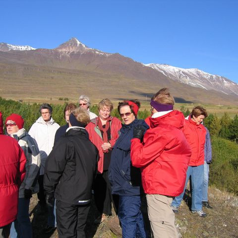 betadeild-5-442d1638d3660-1