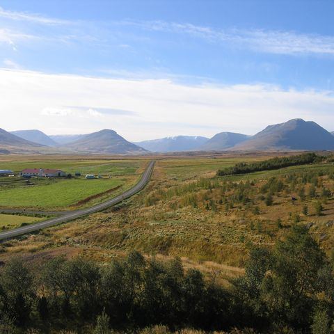 betadeild-5-442d1639cc3e1-1