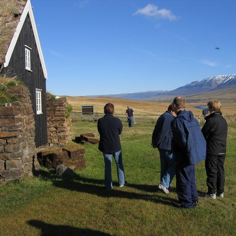 betadeild-5-442d163bc2e2a-1