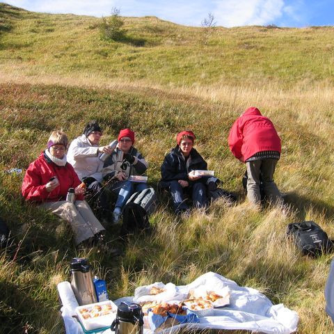 betadeild-5-442d163dc483e-1