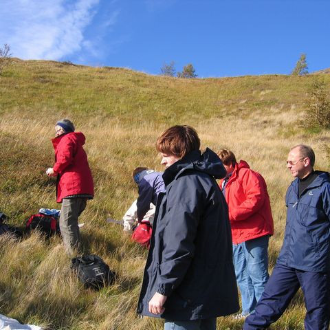 betadeild-5-442d163e667e6-1