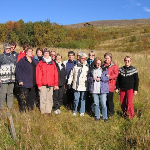 betadeild-5-442d163fcd381-1