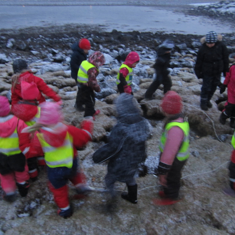 Athyglisleikur dýr falin í umhverfinu og börnin finna út hversu mörg dýr