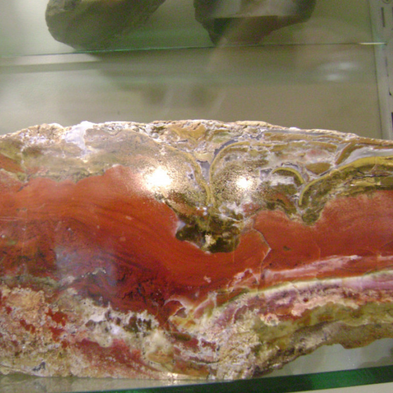 steinasafn_eskifirdi__11_