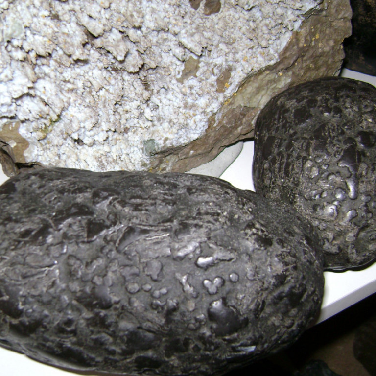 steinasafn_eskifirdi__14_