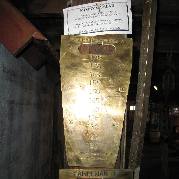 moskvamaelar__notadir_vid_netagerd