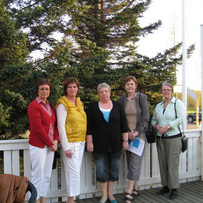 Stjórn Zeta-deildar 2006-2008