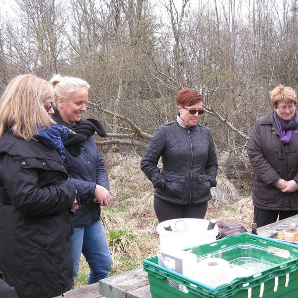 Nestispása í Ólafslundi í mynni Vatnsdals
