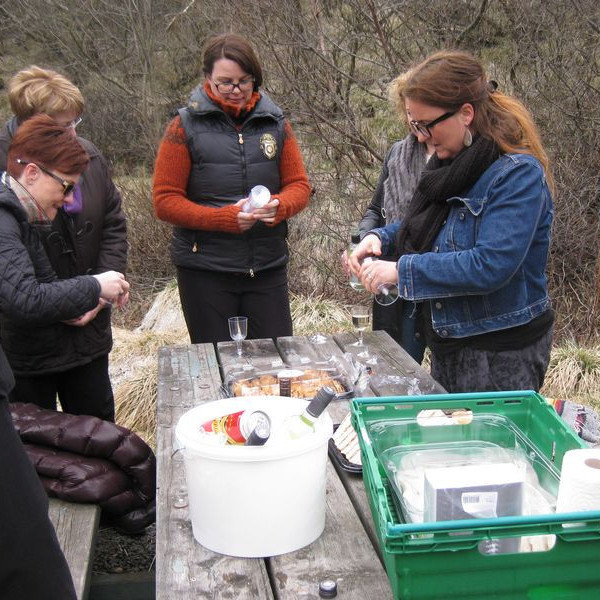 Nestispása í Ólafslundi í mynni Vatnsdals