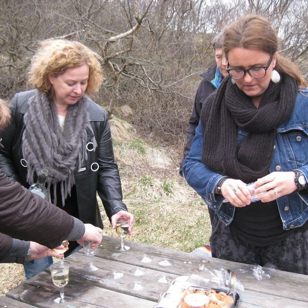 Nestispása í Ólafslundi í mynni Vatnsdals