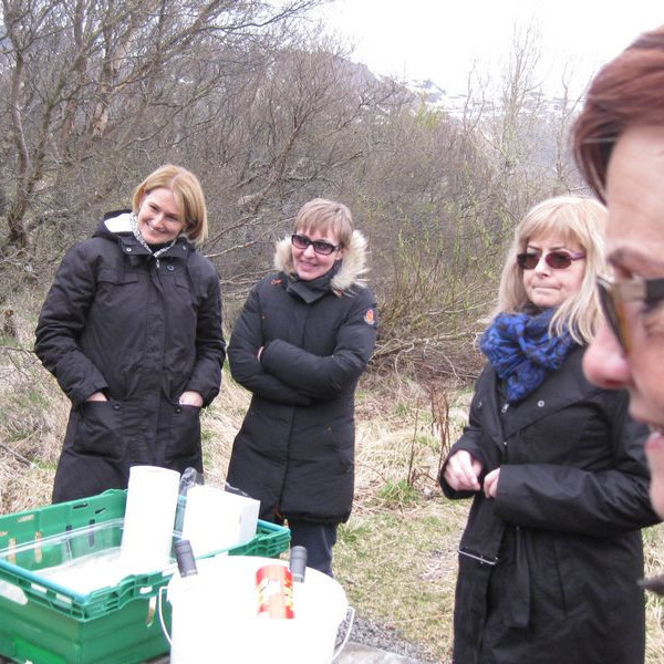 Nestispása í Ólafslundi í mynni Vatnsdals