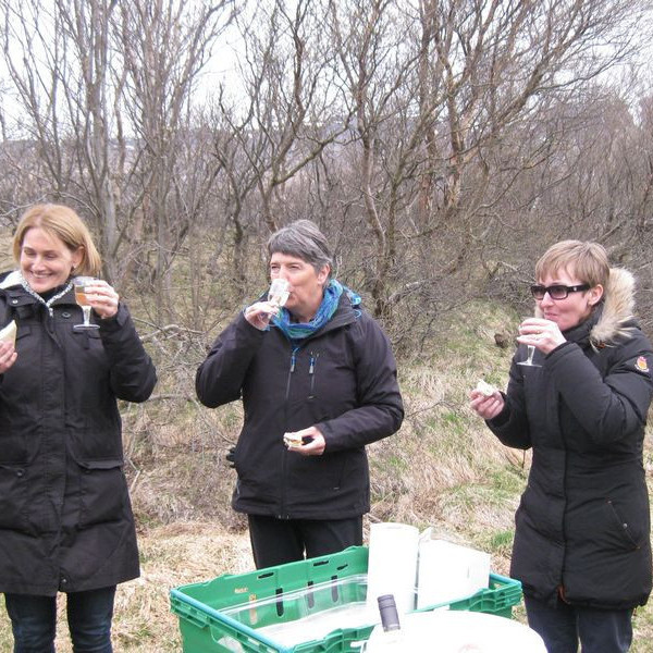 Nestispása í Ólafslundi í mynni Vatnsdals