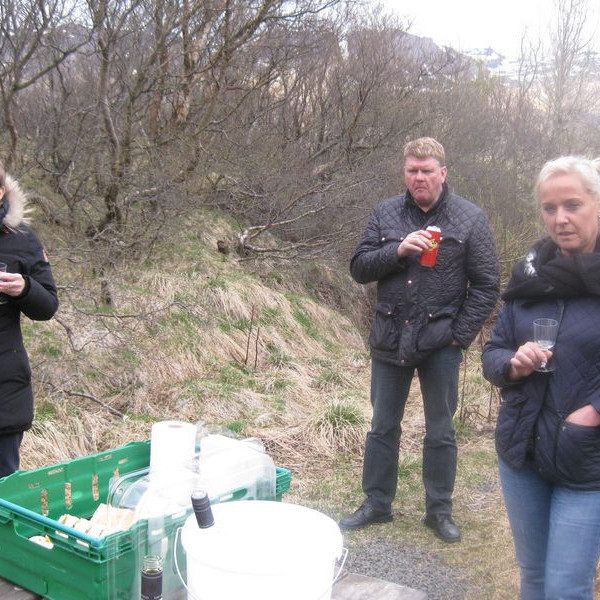 Nestispása í Ólafslundi í mynni Vatnsdals