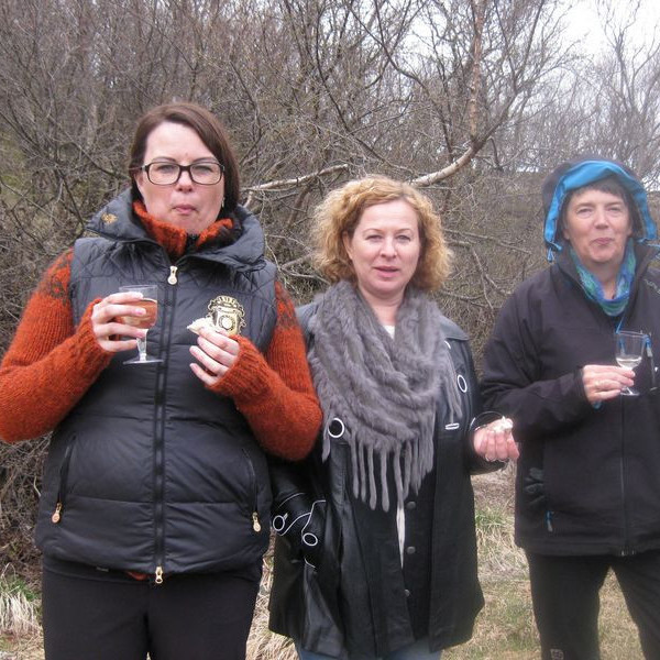 Nestispása í Ólafslundi í mynni Vatnsdals