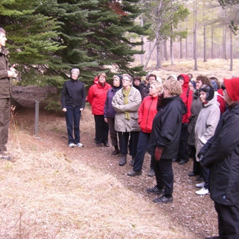 ymsar_myndir_08-09_200