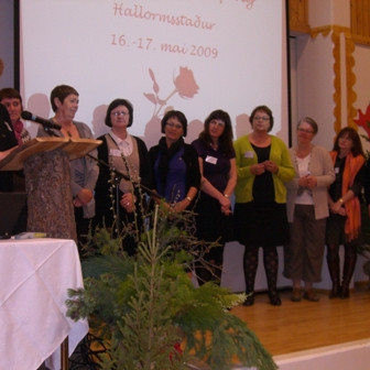 ymsar_myndir_08-09_215