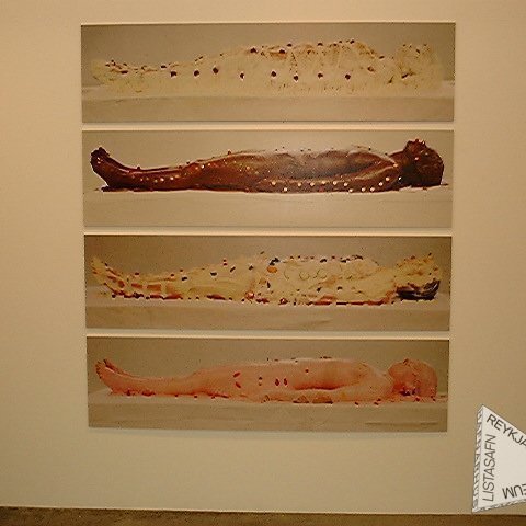 Ljósmyndarverkið Girnilegar konur