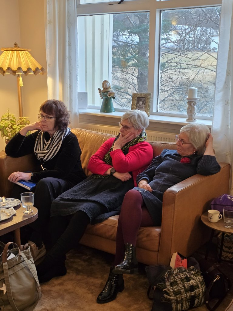 Það fer vel um þær í sófanum.