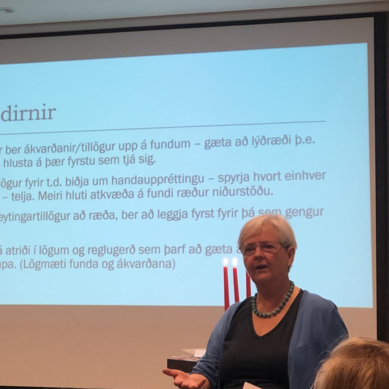 Ingibjörg Elsa Guðmundsdóttir í Alfadeild ræðir um hlutverk formanns