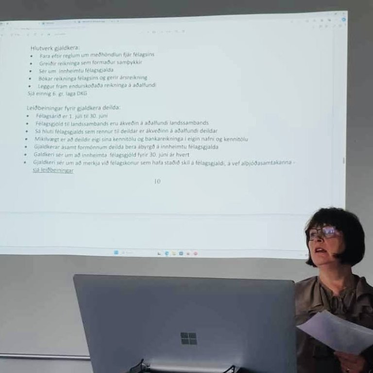 Björg Eiríksdóttir gjaldkeri fer yfir fjármálin