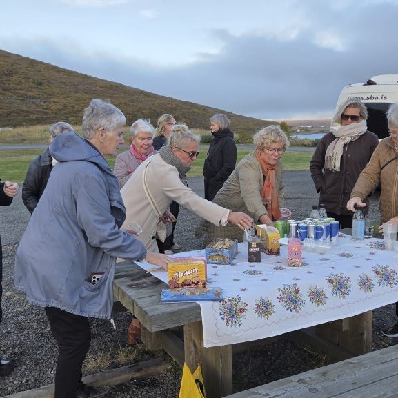 Nestisstopp við Ljósavatn