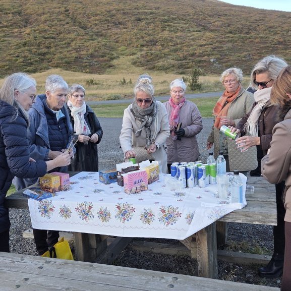 Nestisstopp við Ljósavatn