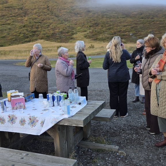 Nestisstopp við Ljósavatn