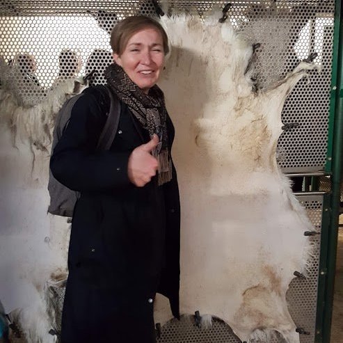 Formaður Betadeildar