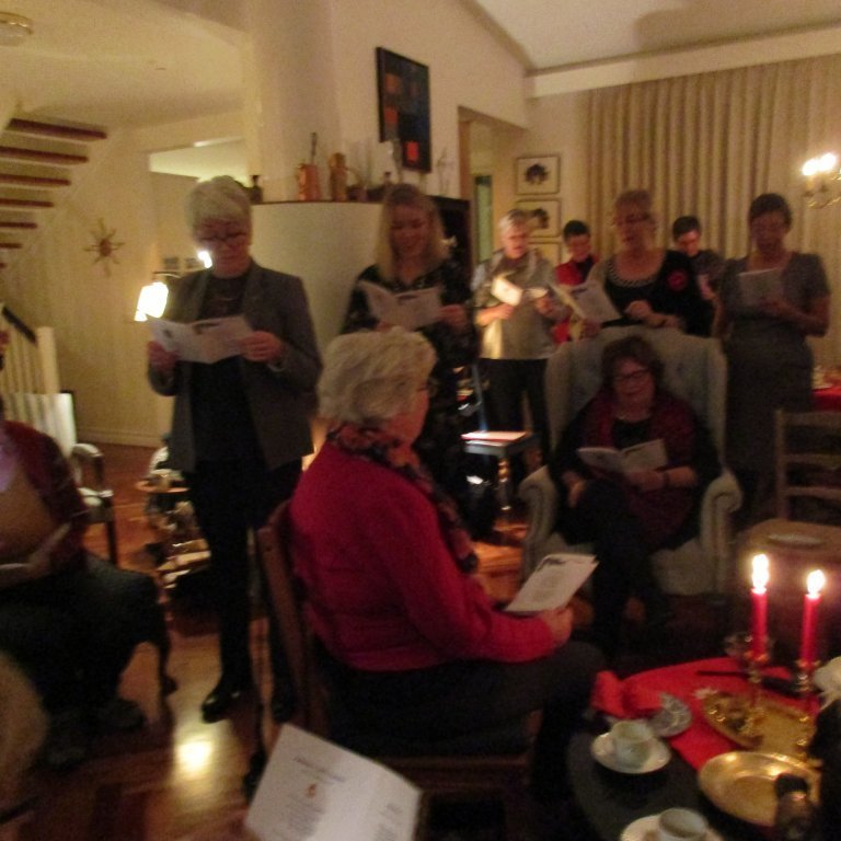 jolalogin-sungin-harri-raust