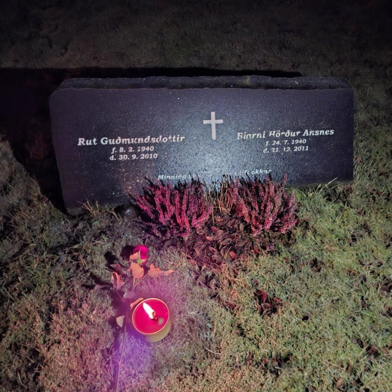 62f2b69d-a74a-40bd-9215-0113ddb3c055