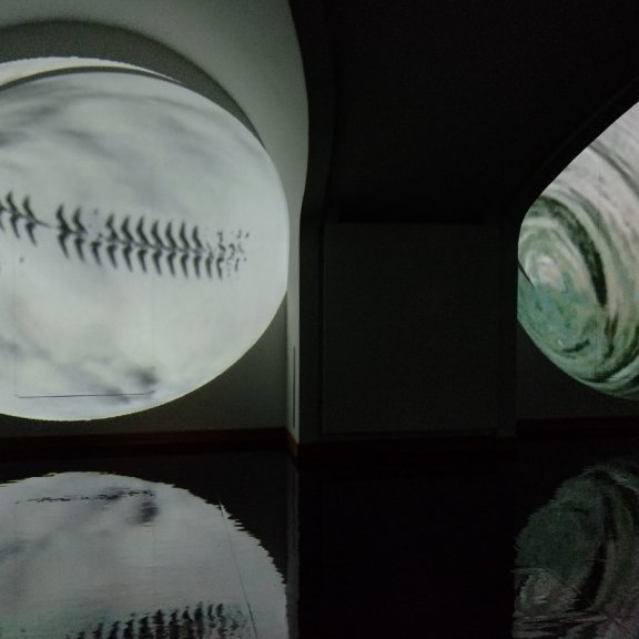 img_20211111_181415186_hdr