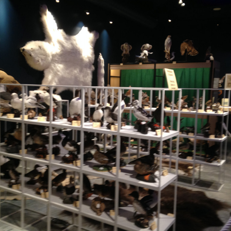 Sýningin um norðurslóðir