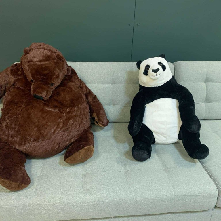 466825680_951131130230104_995032974659561022_n