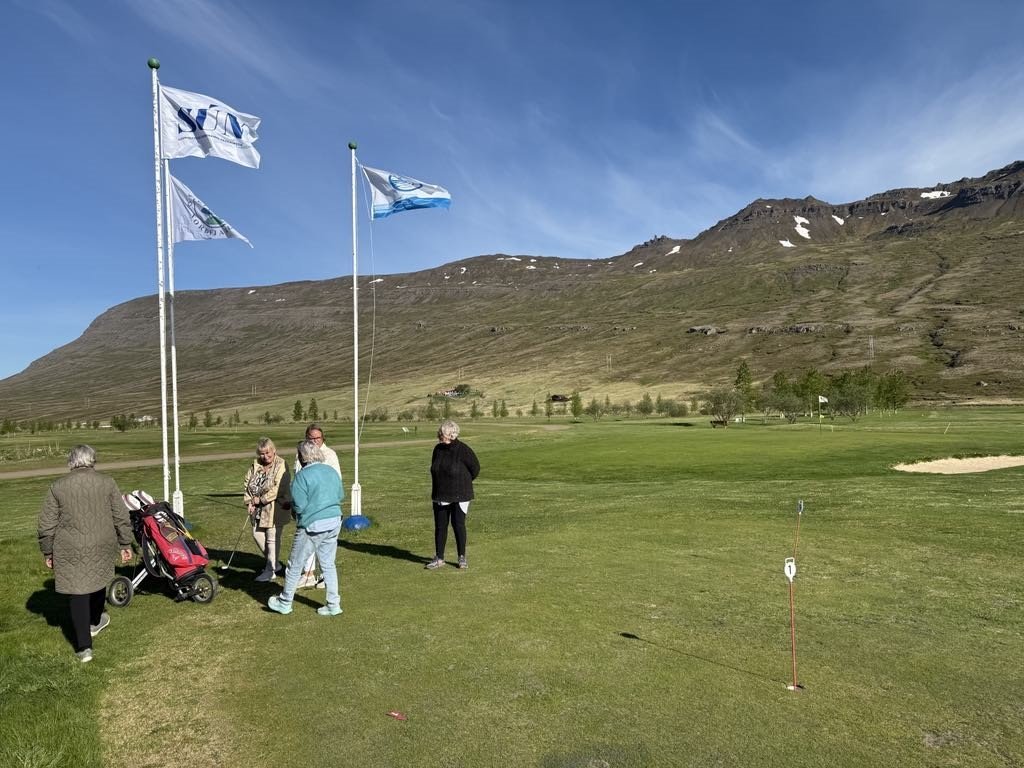 golfkennsla1.jpg