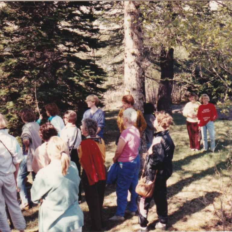 Þinggestir í Hallormsstaðarskógi