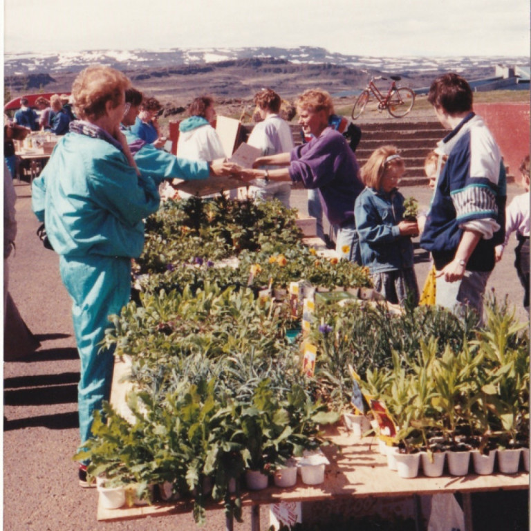 Þinggestir í Hallormsstaðarskógi