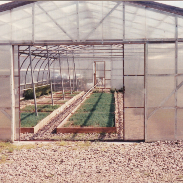 Í Hallormsstaðarskógi