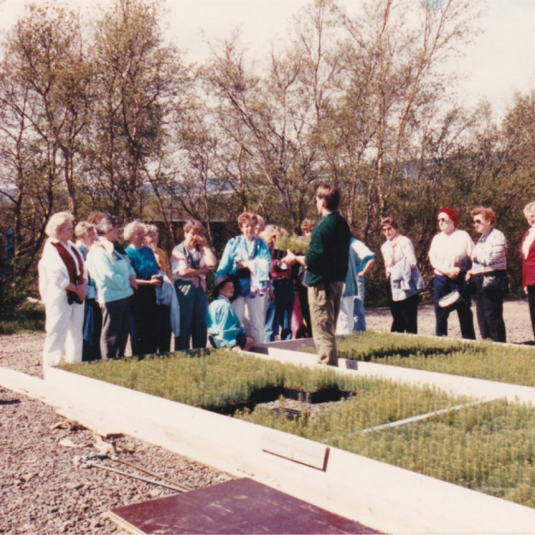 Þinggestir í Hallormsstaðarskógi