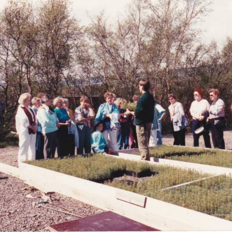 Þinggestir í Hallormsstaðarskógi