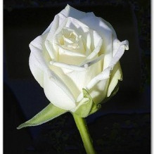 Margrét Albertsdóttir er látin