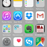 Glærur frá landssambandsþingi