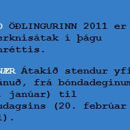 Skotturnar benda á Öðlinginn 2011