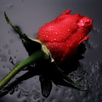 Til hamingju Þetadeild