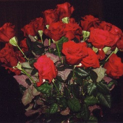 Kristín Jóhannesdóttir í Alfadeild hlýtur viðurkenningu