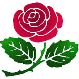 Nýtt fréttabréf Mý-deildar