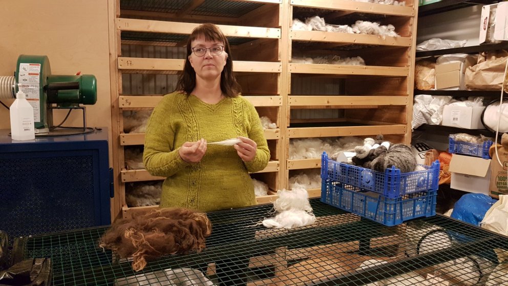 Hulda segir frá sauðkindinni og ullinni.