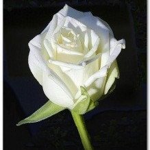 Vilborg Dagbjartsdóttir félagi í Gammadeild látin