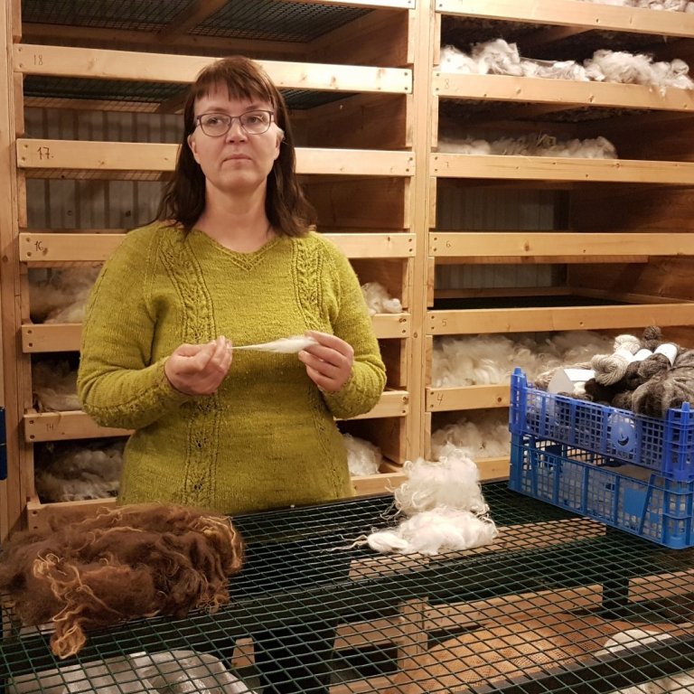Hulda segir frá sauðkindinni og ullinni.
