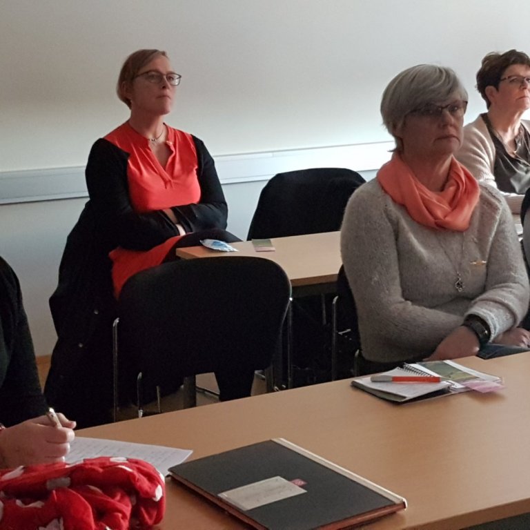 Hlýtt á fyrirlestur um Tallin.